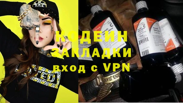 ГАЛЛЮЦИНОГЕННЫЕ ГРИБЫ Бородино