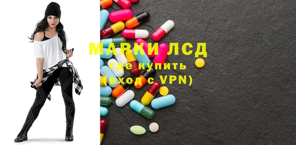 ГАЛЛЮЦИНОГЕННЫЕ ГРИБЫ Бородино