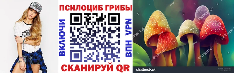Галлюциногенные грибы Cubensis  Медногорск 