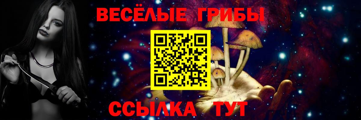 Медногорск  Галлюциногенные грибы мухоморы  Вход с VPN 